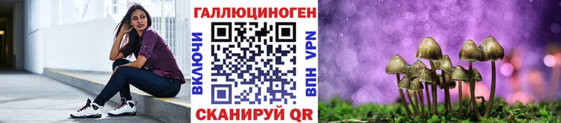 hydra   что такое   Борисоглебск  Галлюциногенные грибы Magic Shrooms 